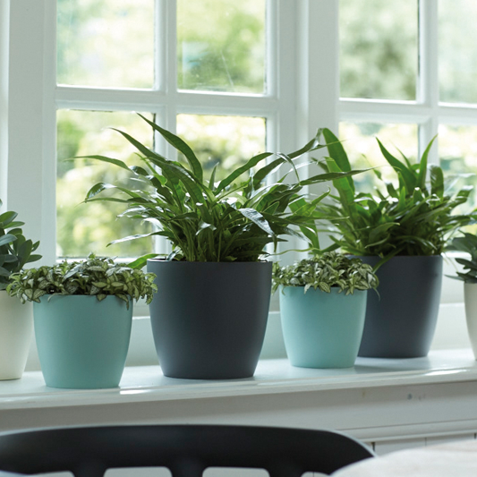 Brussel plastpottar - steingráir