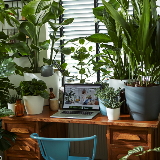 Brussel plastpottar - hvítir