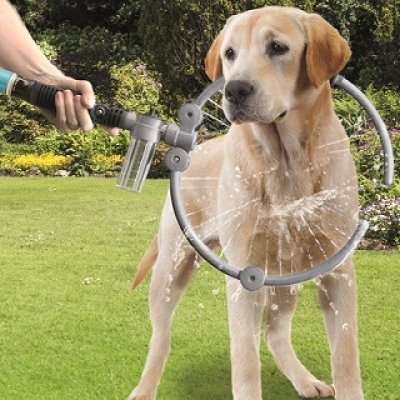 Gæludýrahreinsir Flopro