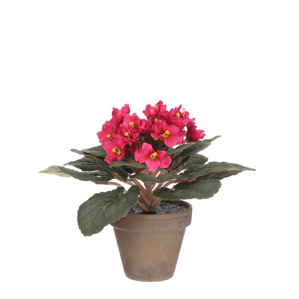 Saint Paulina silkiblóm í potti - bleikt