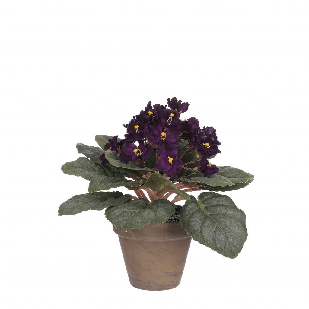 Saint Paulina silkiblóm í potti - fjólublátt