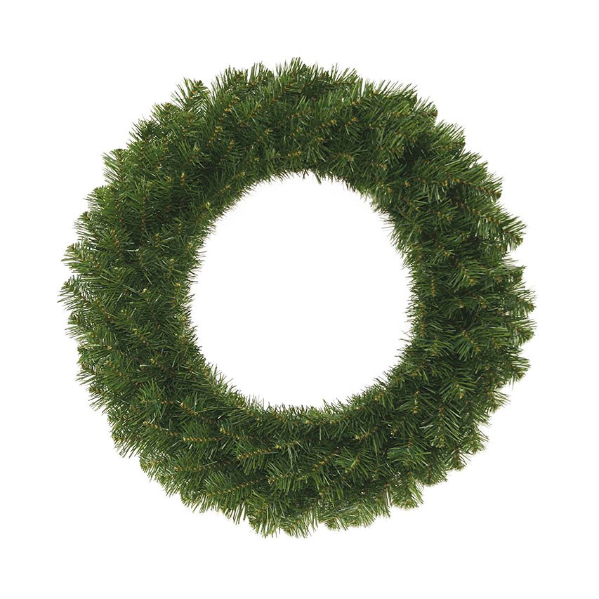 Colorado sígrænn grenikrans