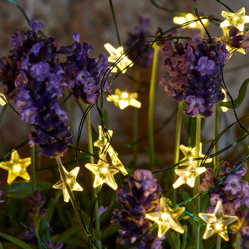 Trille stjörnu 40 ljósa - hvít ljós