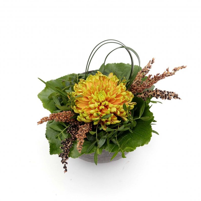 Blómaskreyting í potti