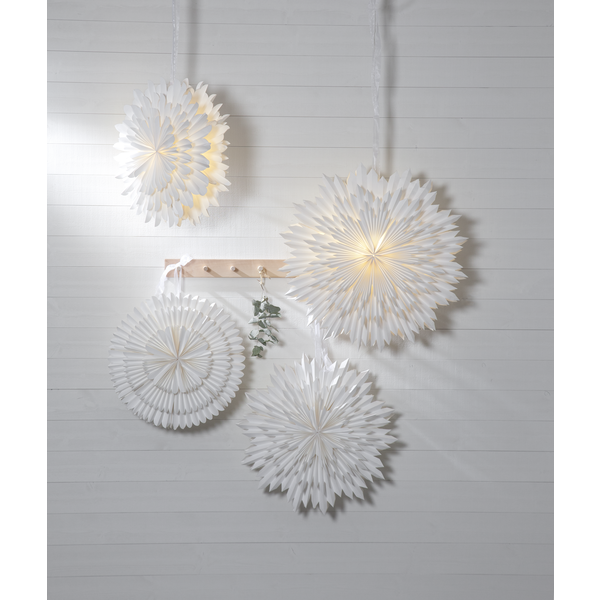 Ice pappastjarna - hvít