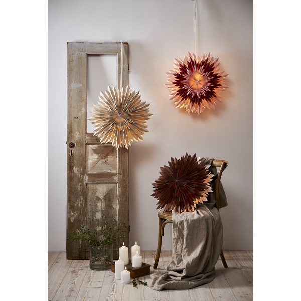 Ice pappastjarna - brún