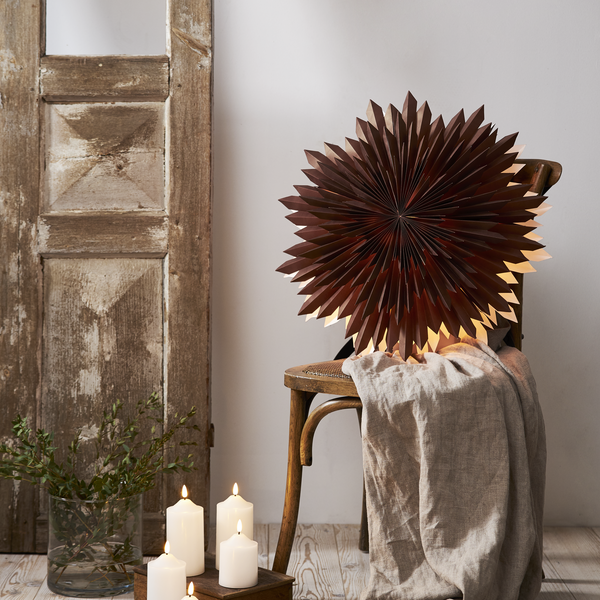 Ice pappastjarna - brún