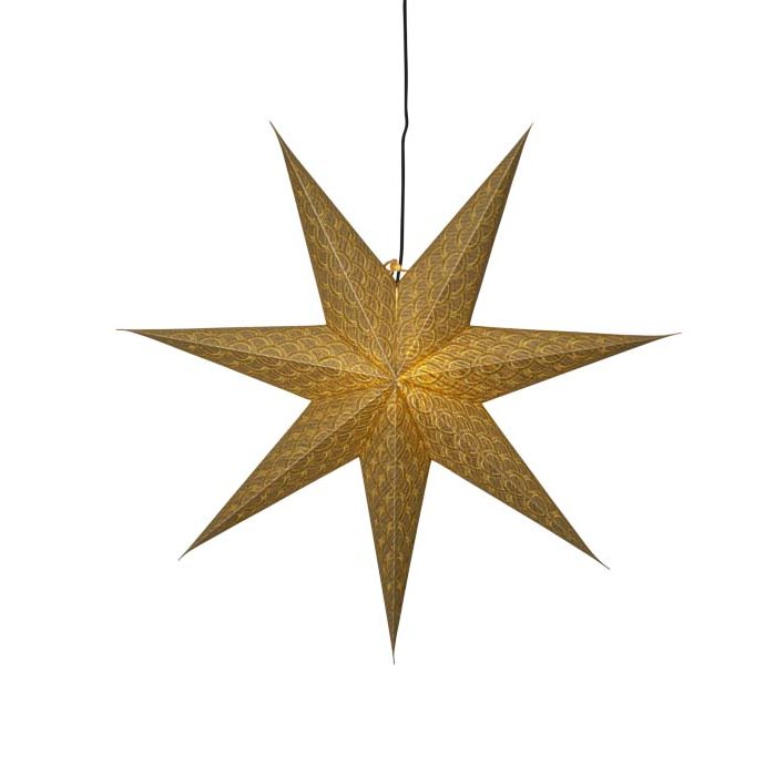 Brodie pappastjarna - tveir litir