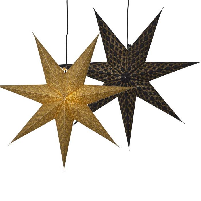 Brodie pappastjarna - tveir litir