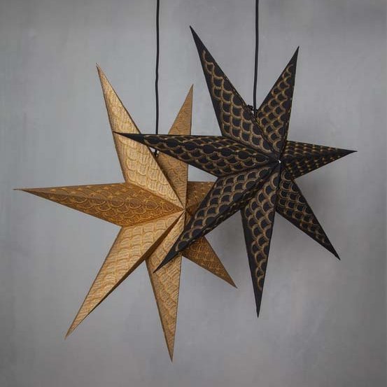 Brodie pappastjarna - tveir litir