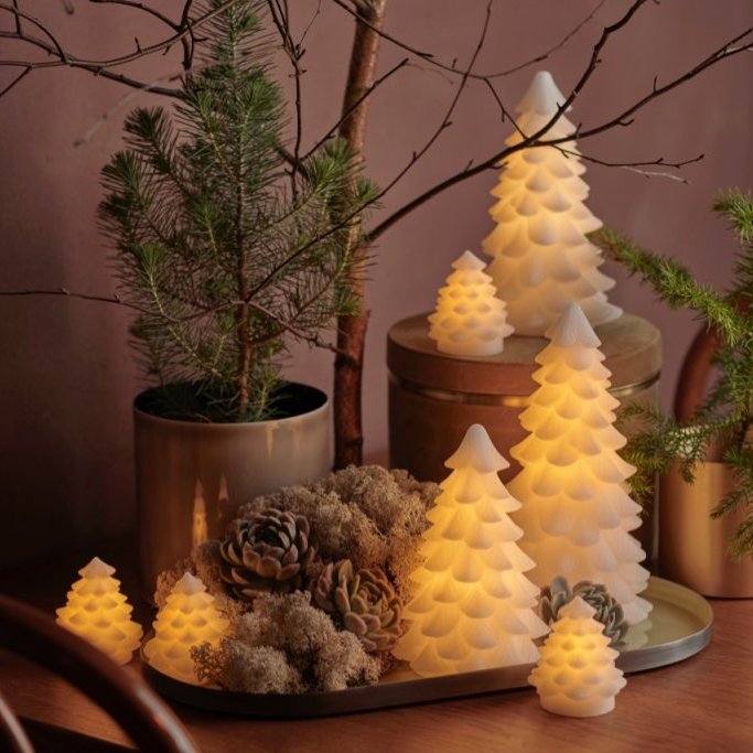 Carla vaxjólatré frá Sirius - batt