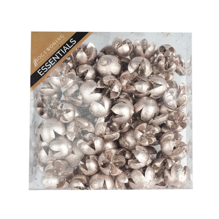 Chiruni Pods í öskju