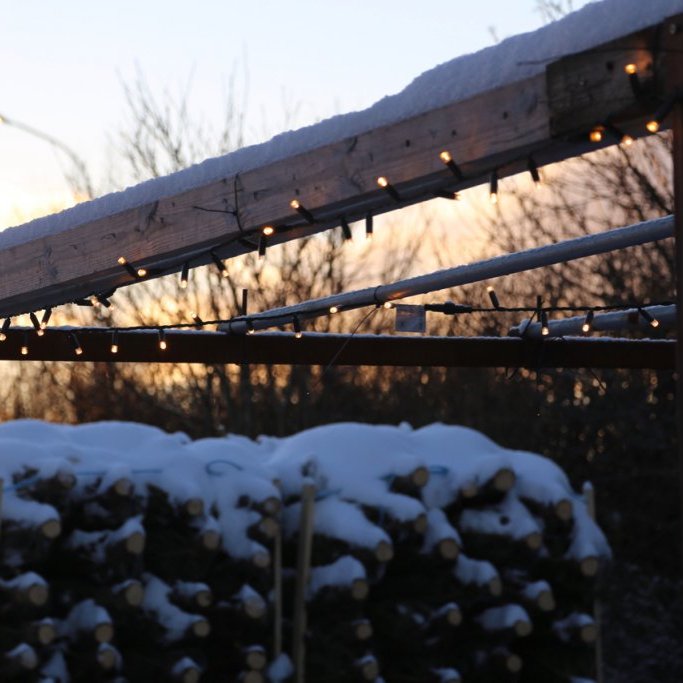 XP 100 ljósa sería - XL perur, hvít ljós