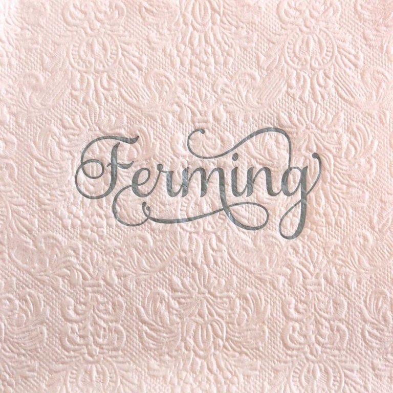 Pale pink upphleyptar servíettur - silfur letur