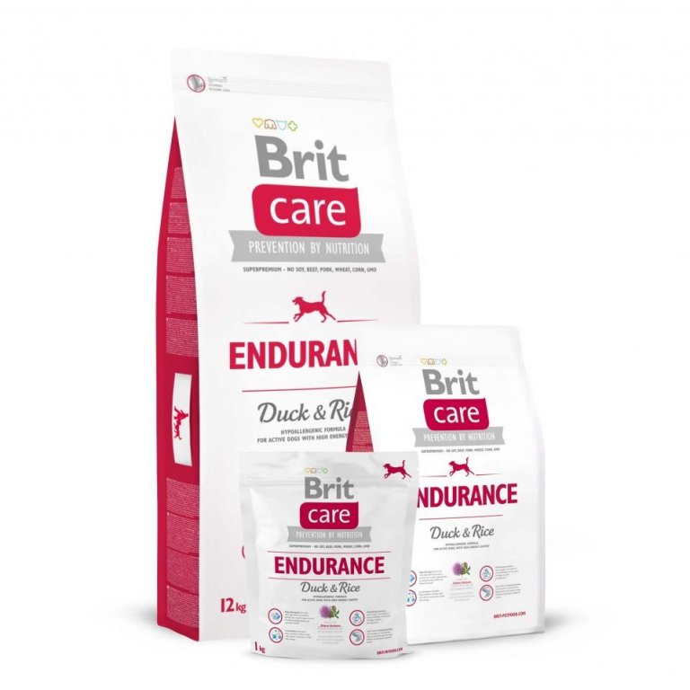 Brit Care Dog Sustainable Activity