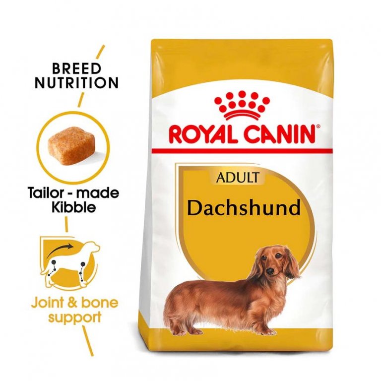 Dachshund Adult þurrfóður - 1,5kg