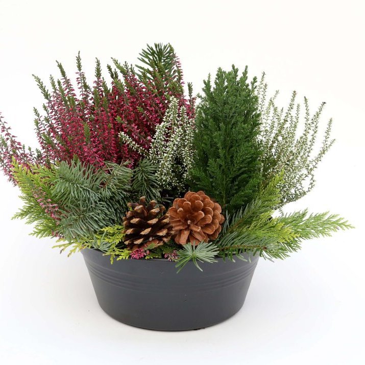 Leiðisskreyting 27cm með könglum