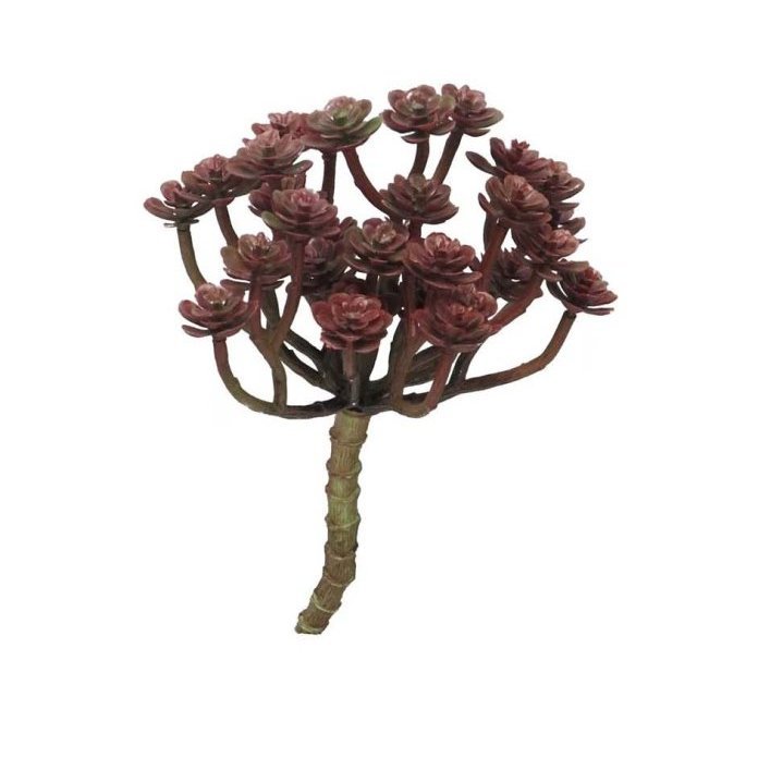 Cacta bordeaux gervibúnt