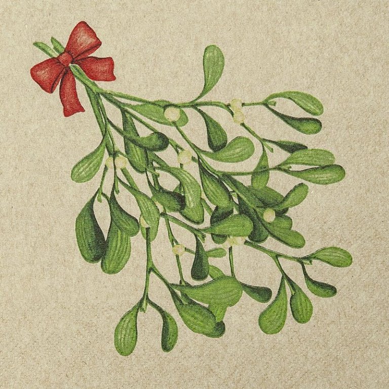 Servíettur Mistletoe