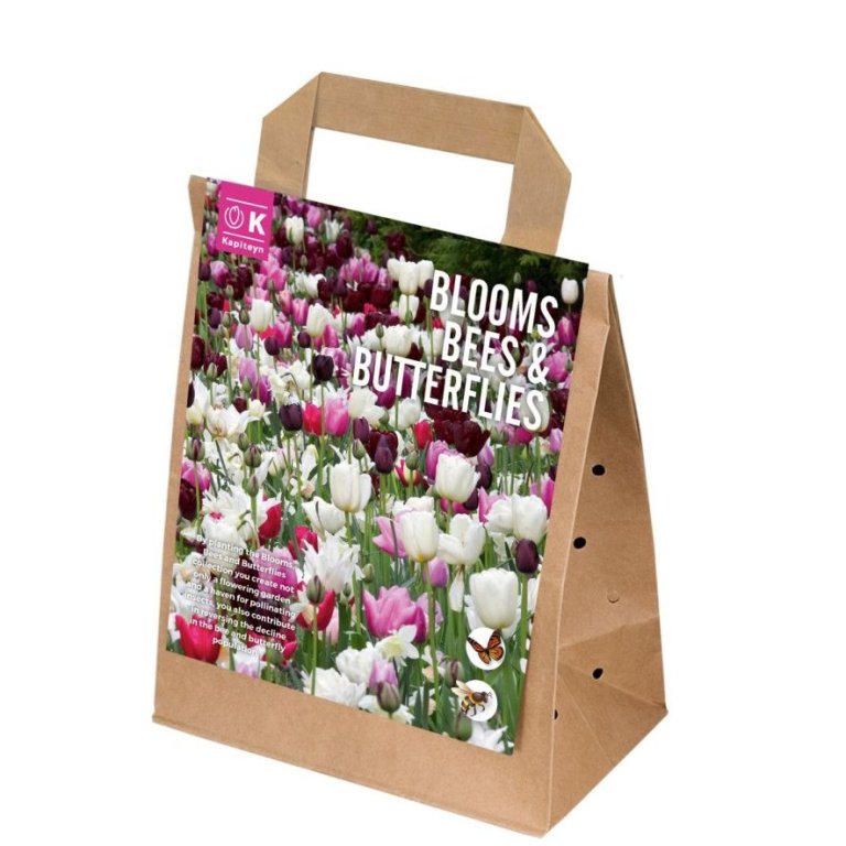 Bloom Bees & Butterflies - fjólubláir/hvítir, 25 stk