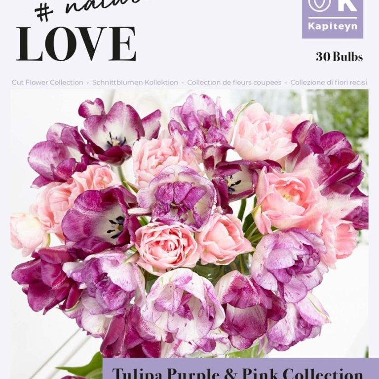Bouget Purble & Pink collection, 30 stk