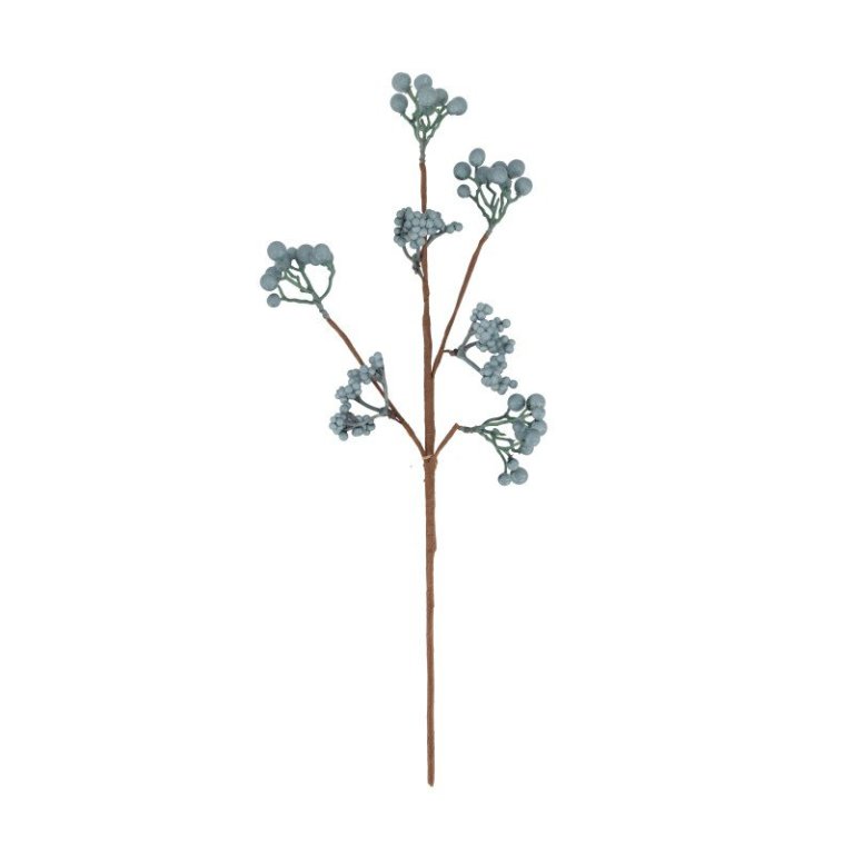 Berjagrein 50 cm - blá/græn