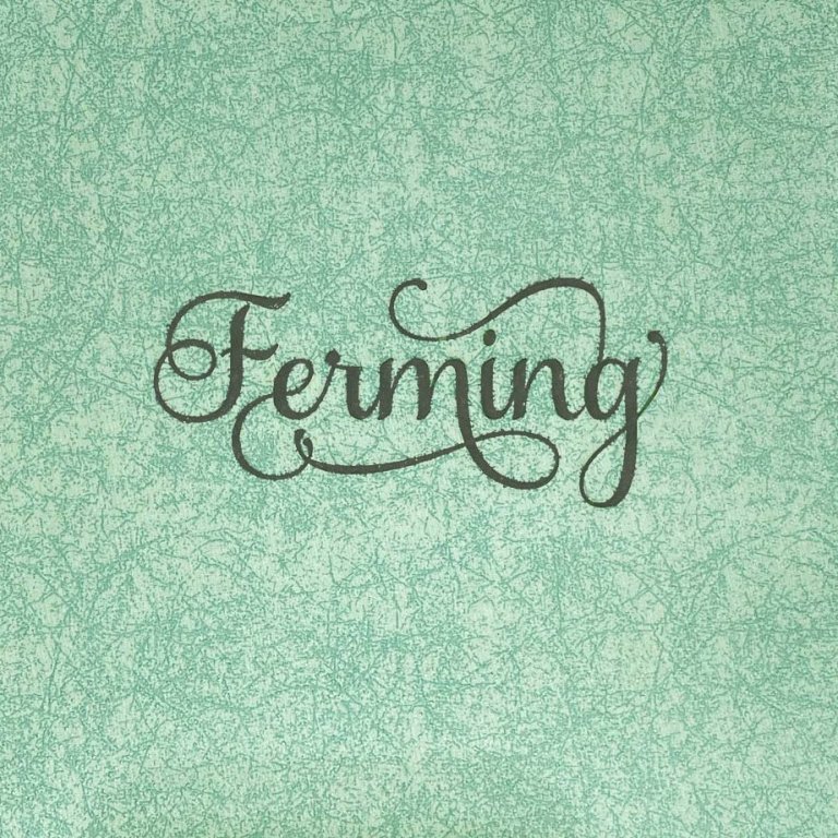 Eucalyptus sléttar serívettur - svart letur