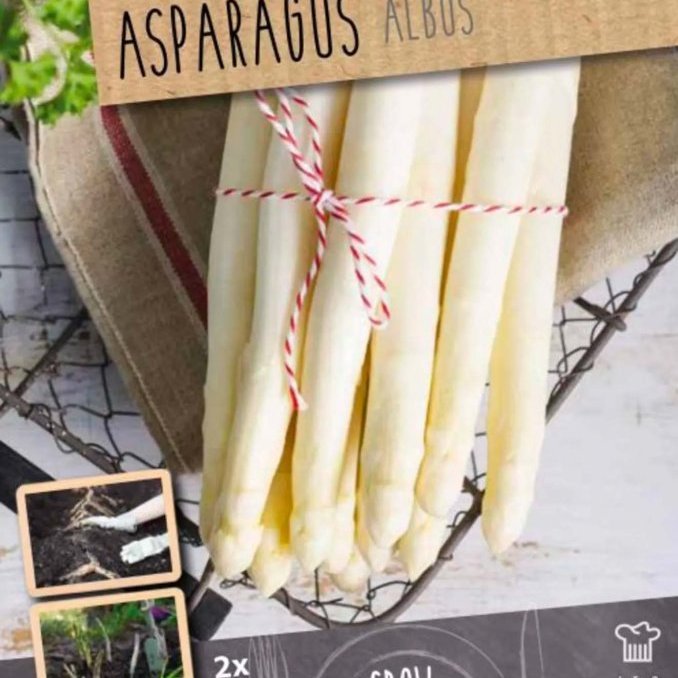 Asparagus, 2 stk