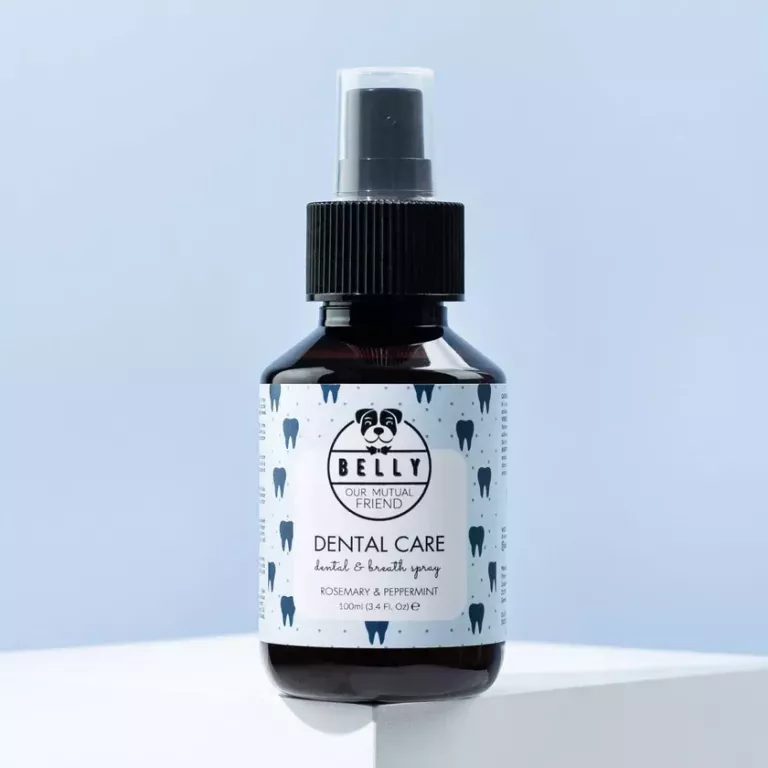 Tannverndarsprey 100ml