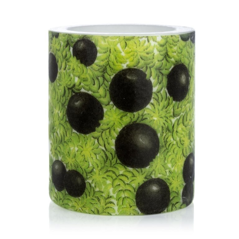 Hekla kerti Krækiberjalyng