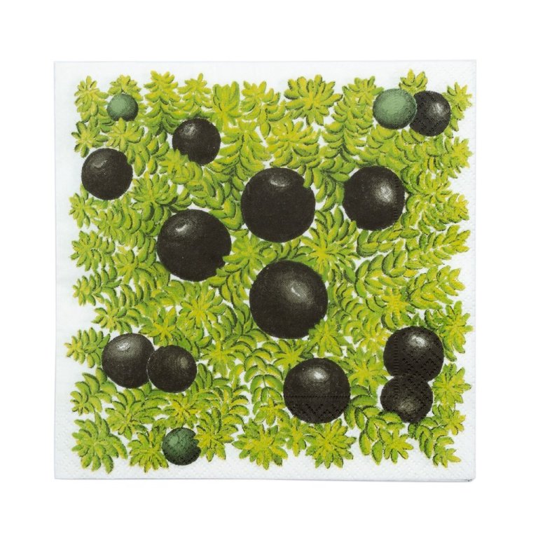 Hekla servíettur Krækiber