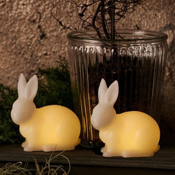 Elin kanínur frá Sirius, 2 stk - batt