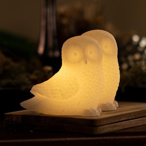 Ellen Ugla frá Sirius, 2 stk - batt