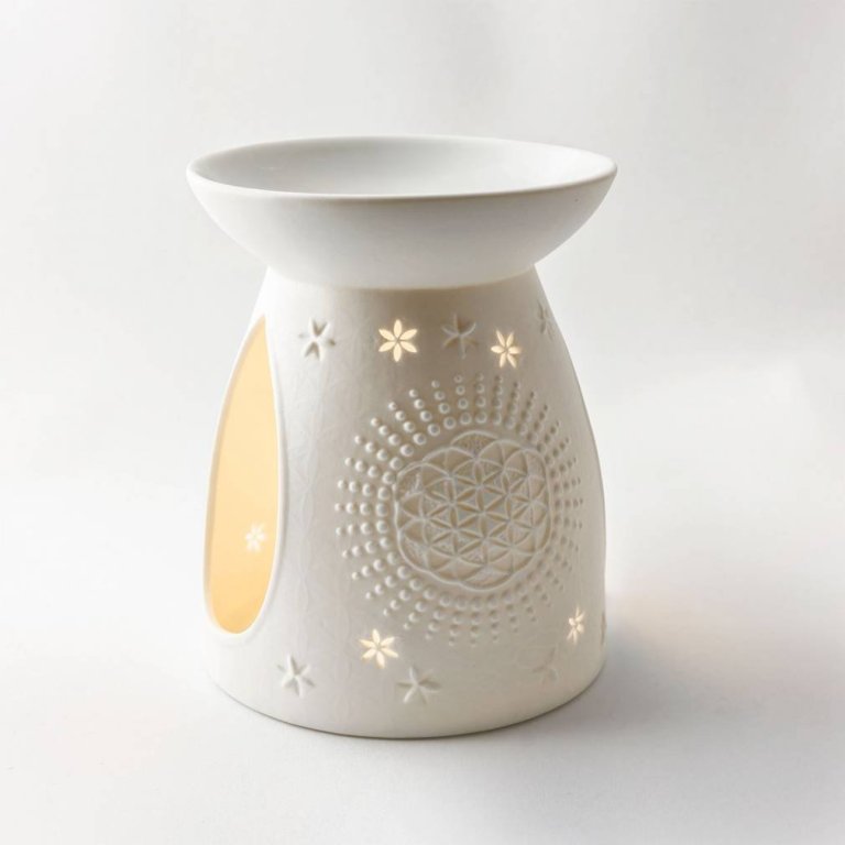 Starlight 491, blóm