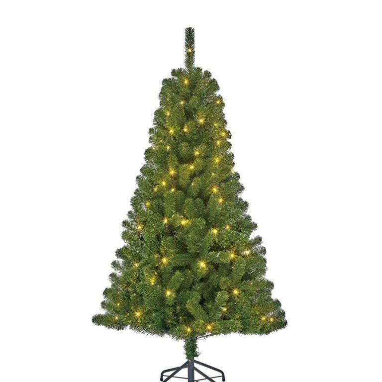 Charlton gervijólatré með seríu - green