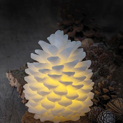 Clara vaxköngull frá Sirius - batt