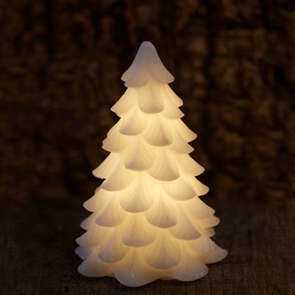 Carla vaxjólatré frá Sirius - batt