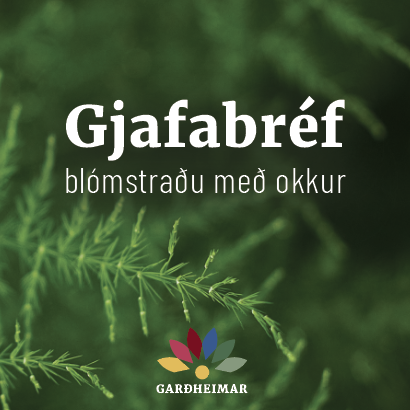 Gjafabréf