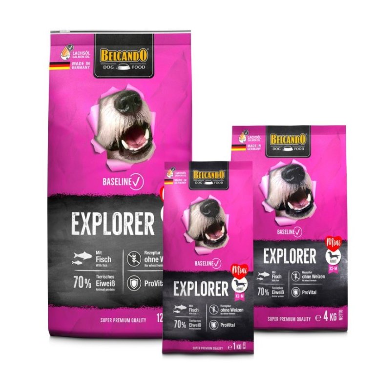 Belcando Baseline Explorer Mini