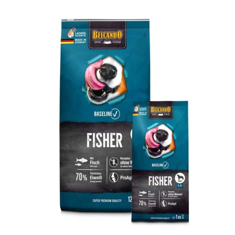 Belcando Baseline Fisher