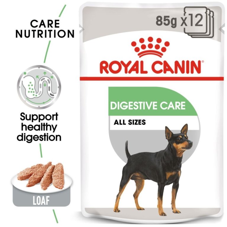 Digestive Care blautfóður - 12x85gr