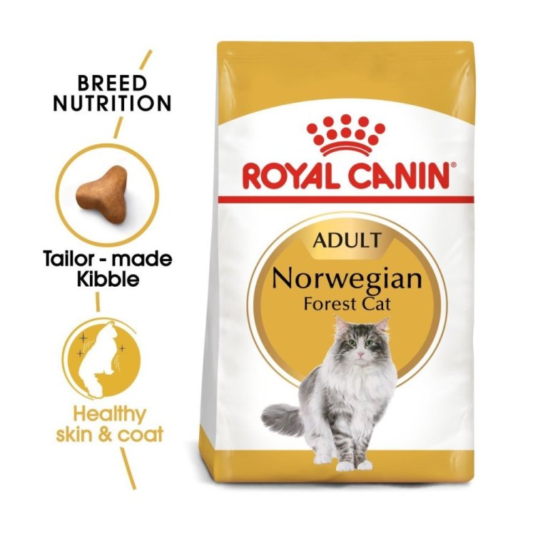 Norwegian Forest Cat Adult þurrfóður