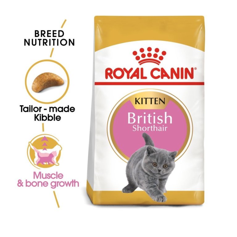 British Shorthair Kitten þurrfóður - 2kg
