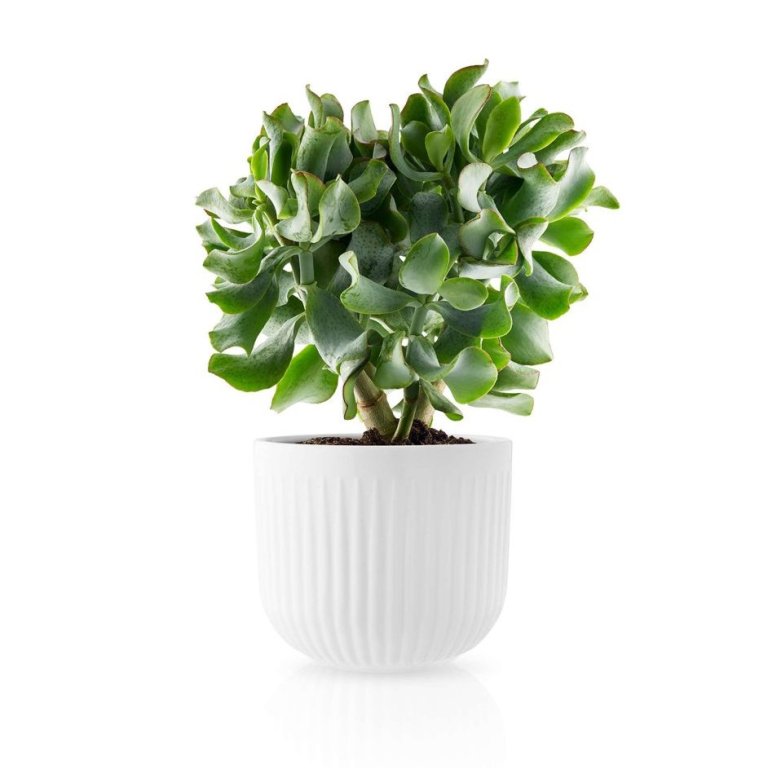 Eva Solo Legio Nova blómapottur