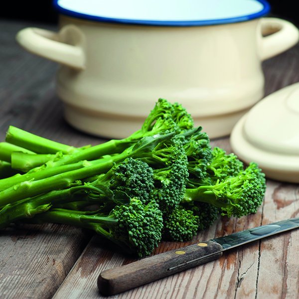 Spergilkál - Green Sprouting