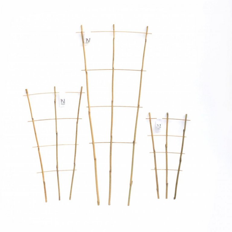 Plöntustoð - bambus