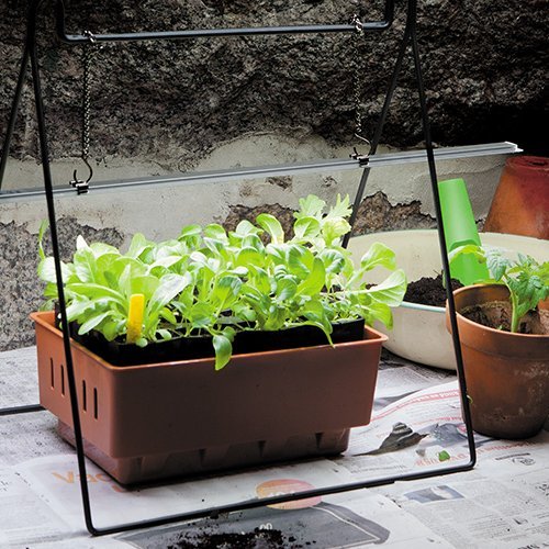 Borðstandur fyrir gróðurljós