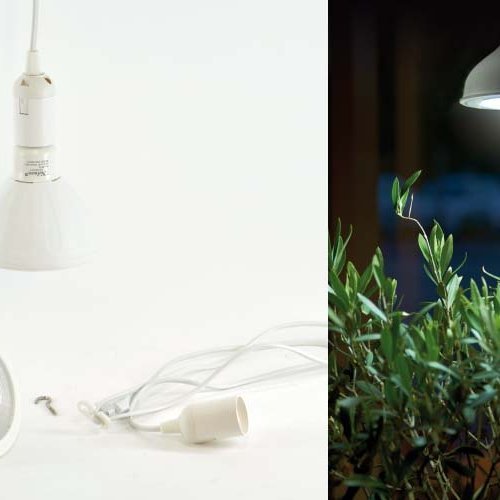 Perustæði með snúru fyrir gróðurperu