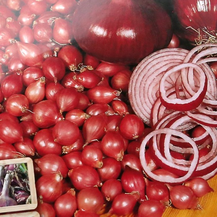 Rauðlaukur - Red Baron