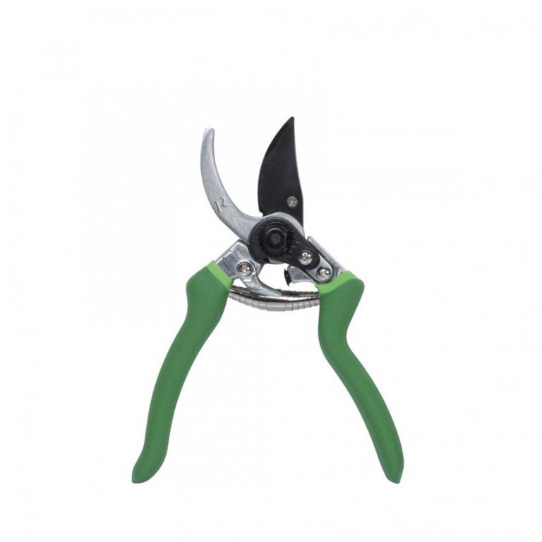 Handklippur Ribiland - grænar